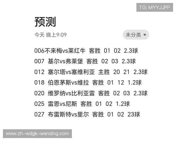 法甲和德甲球队交锋：法甲与德甲球队的交锋历史与战绩 (2)