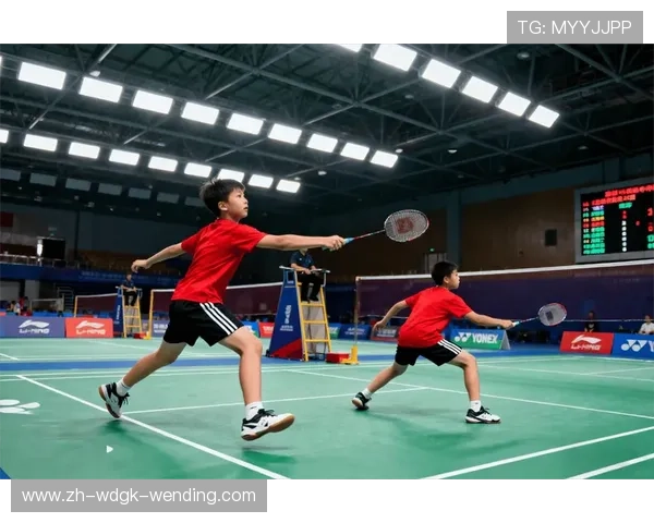 羽毛球球速海南