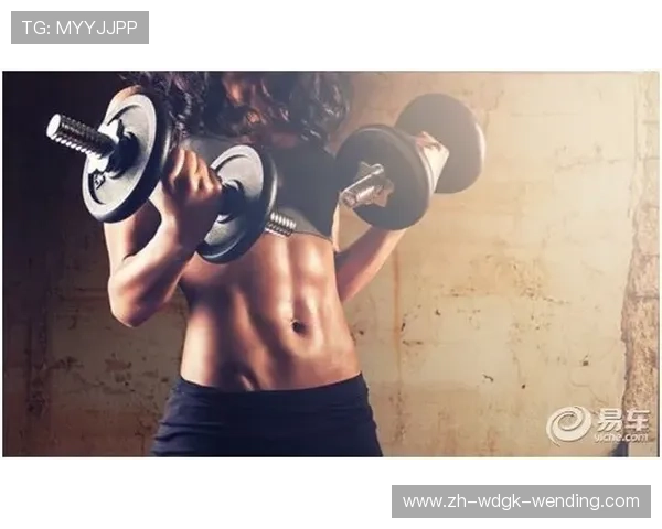 健身器材定位人群详解：从入门到进阶，满足不同训练需求