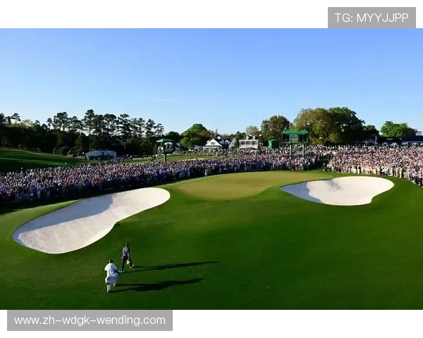 高尔夫世界排名舍夫勒扩大对小麦领先麦金泰尔排名显著上升 高尔夫世界排名舍夫勒扩大对小麦领先麦金泰尔排名显著上升